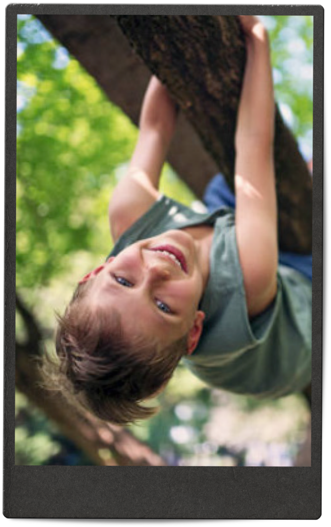 tree climber