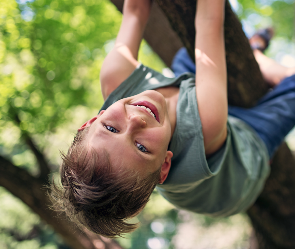 Climbing a Tree